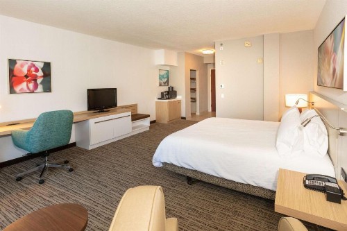 Hilton Garden Inn Daytona Beach Airport - image 49