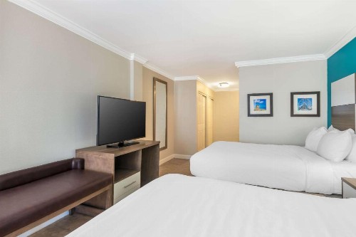 Comfort Inn & Suites Daytona Beach Oceanfront - image 33
