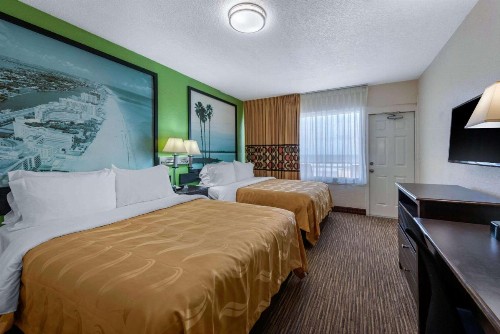 Quality Inn Daytona Beach Oceanfront - image 19