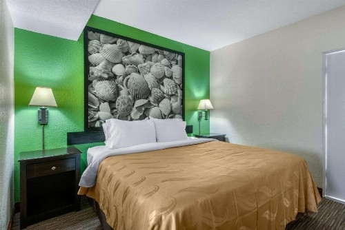 Quality Inn Daytona Beach Oceanfront - image 28