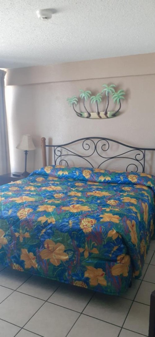 Daytona Beach Hawaiian Inn - image 20