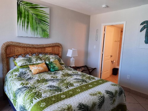 Daytona Beach Hawaiian Inn - image 5
