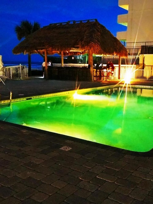 Emerald Shores Hotel - Daytona Beach - image 31