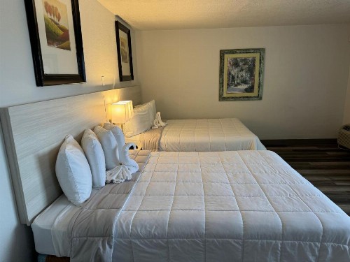 Emerald Shores Hotel - Daytona Beach - image 38