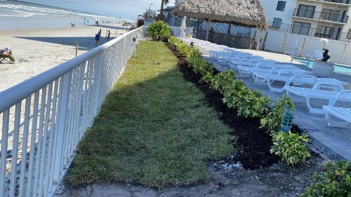 Emerald Shores Hotel - Daytona Beach - image 42