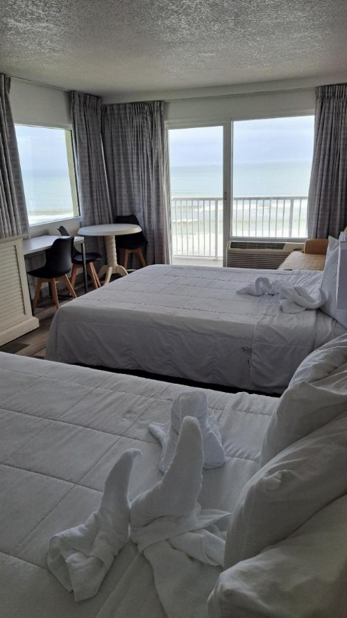 Emerald Shores Hotel - Daytona Beach - image 48
