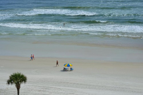 El Caribe Resort and Conference Center - image 43