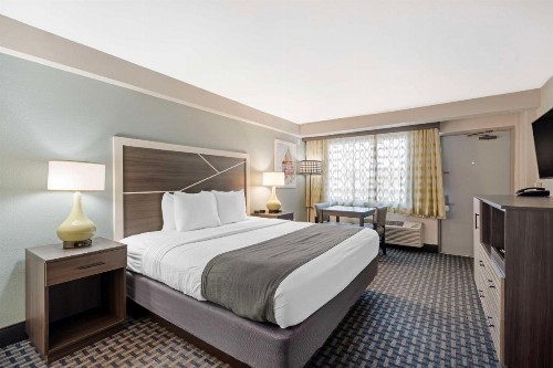 Best Western Plus Daytona Inn Seabreeze - image 14