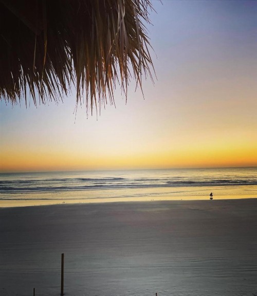 Hampton Inn Daytona Beach/Beachfront - image 33