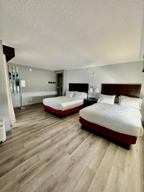 Hampton Inn Daytona Beach/Beachfront - image 34