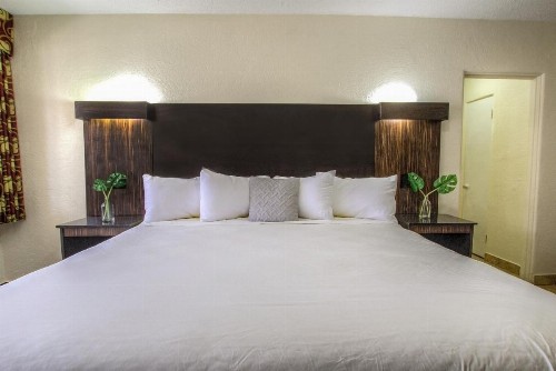 La Bella Oceanfront Inn - Daytona - image 12