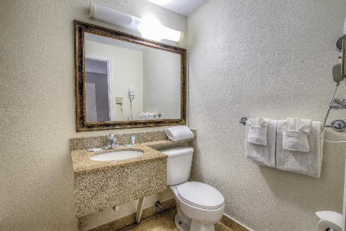 La Bella Oceanfront Inn - Daytona - image 6