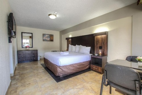 La Bella Oceanfront Inn - Daytona - image 8