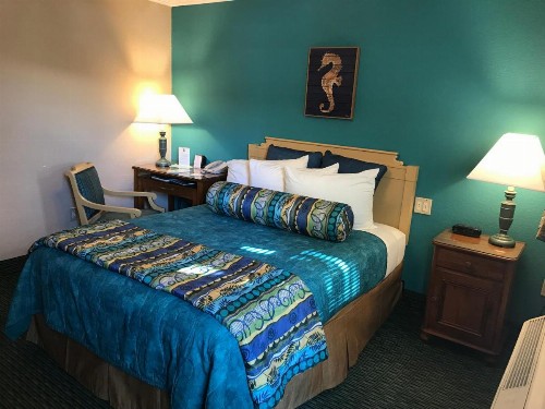 Sun Viking Lodge - Daytona Beach - image 28