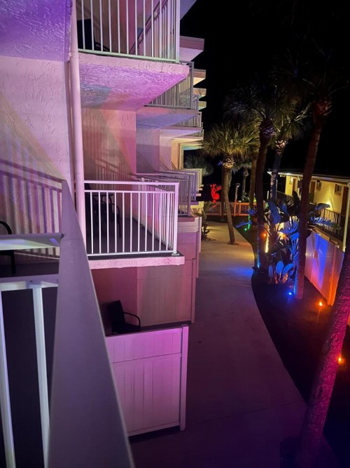 Flamingo Inn Beachfront - Daytona Beach - image 11
