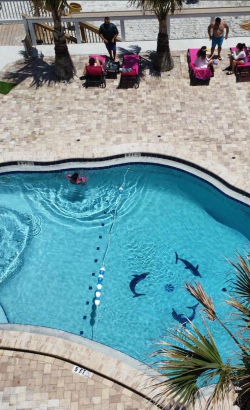 Flamingo Inn Beachfront - Daytona Beach - image 23