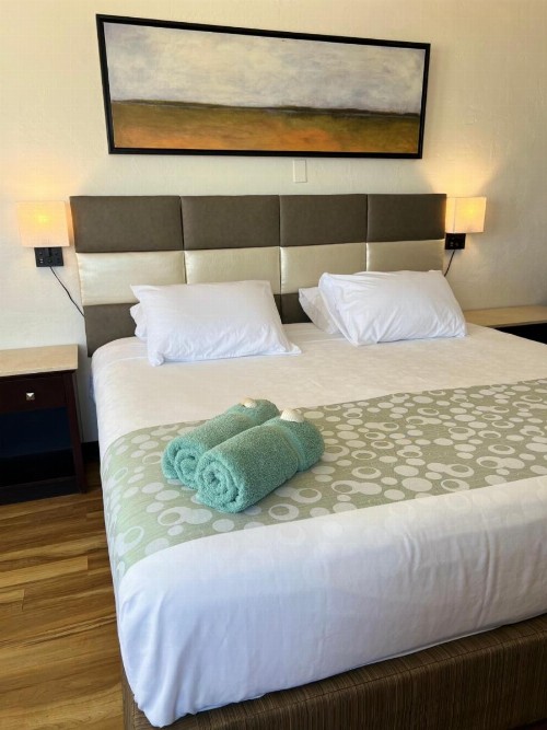Flamingo Inn Beachfront - Daytona Beach - image 24