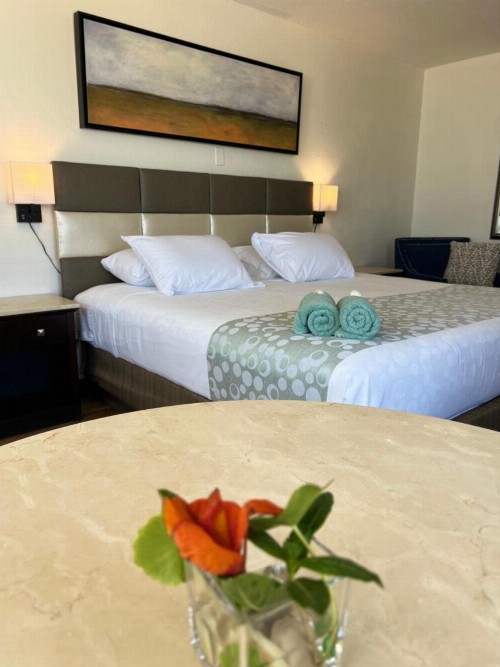 Flamingo Inn Beachfront - Daytona Beach - image 27