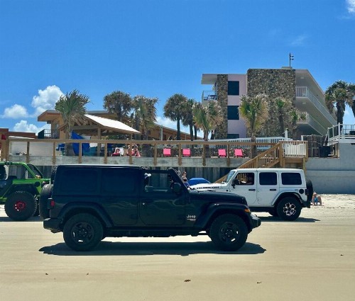 Flamingo Inn Beachfront - Daytona Beach - image 29