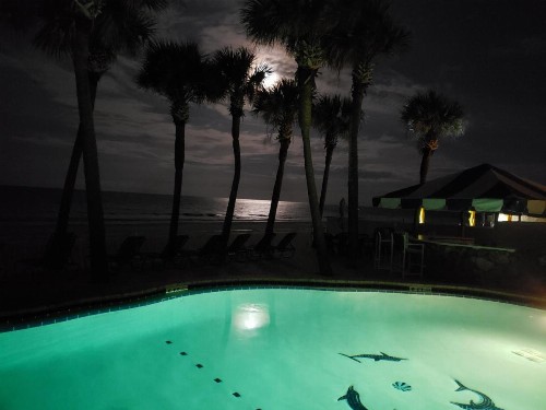 Flamingo Inn Beachfront - Daytona Beach - image 30