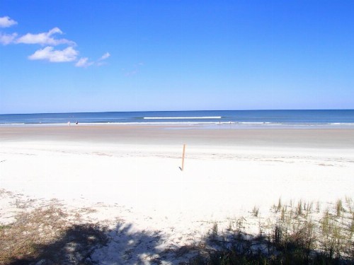 Flamingo Inn Beachfront - Daytona Beach - image 31