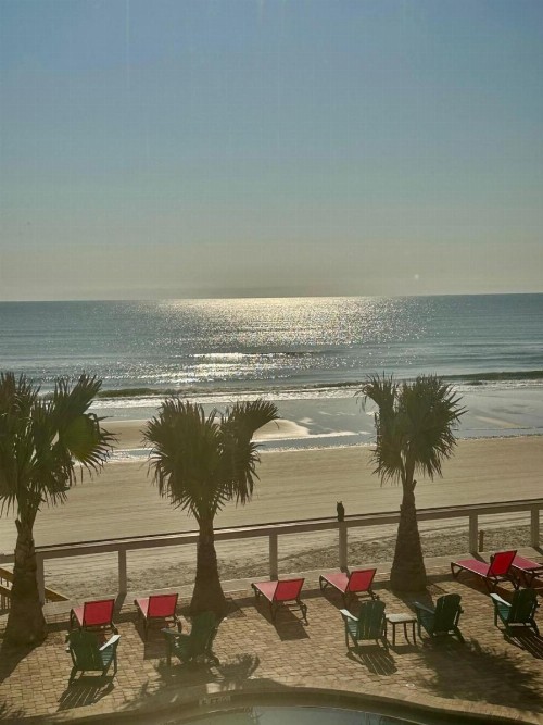 Flamingo Inn Beachfront - Daytona Beach - image 34