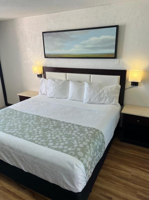 Flamingo Inn Beachfront - Daytona Beach - image 42