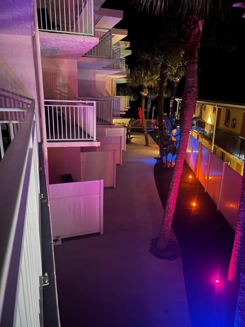 Flamingo Inn Beachfront - Daytona Beach - image 43