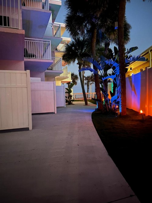 Flamingo Inn Beachfront - Daytona Beach - image 49
