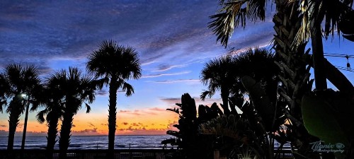 Fountain Beach Resort - Daytona Beach - image 41