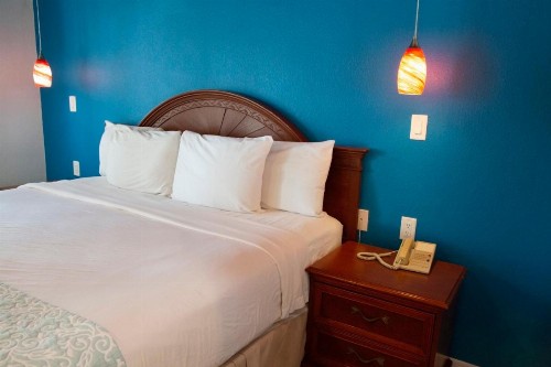 Daytona Dream Inn - image 38