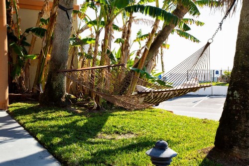 Daytona Dream Inn - image 39