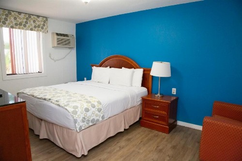 Daytona Dream Inn - image 7