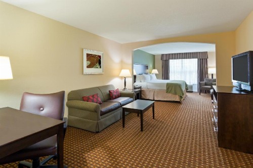 Holiday Inn Daytona Beach LPGA Boulevard an IHG Hotel - image 2