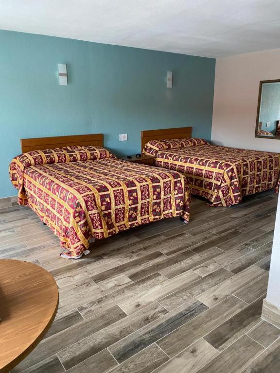 Red Carpet Inn Daytona Beach - image 6