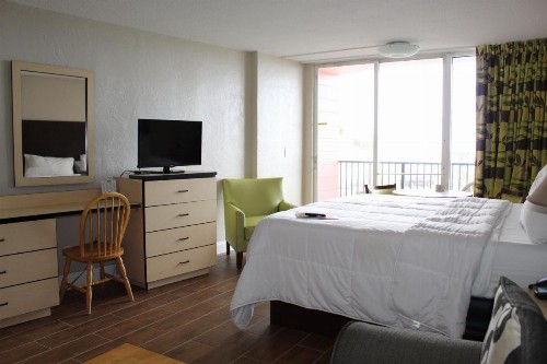 Cove Motel Oceanfront - image 35