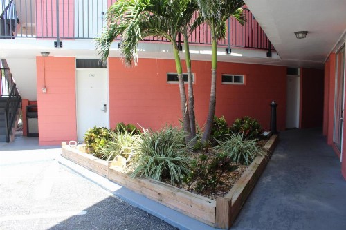 Cove Motel Oceanfront - image 46