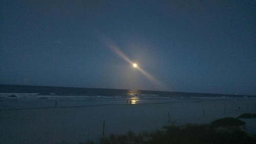 Micks Beach Hideaway - image 11