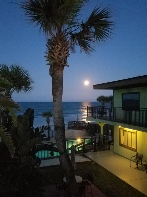 Micks Beach Hideaway - image 13