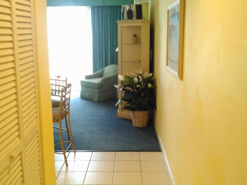 Ocean Walk Resort 910 - image 7