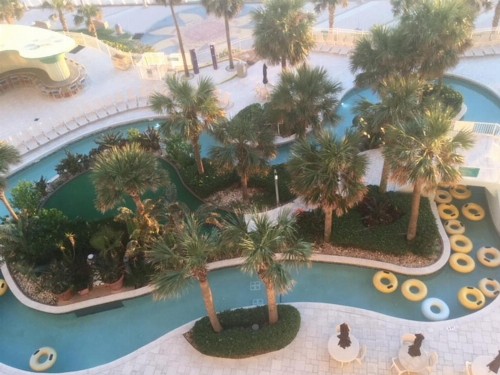 Ocean Walk Resort 702 - image 9