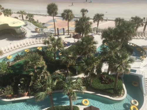 Ocean Walk Resort 702 - image 6