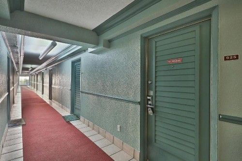 Daytona Beach Club & Beachfront Beetle - image 8