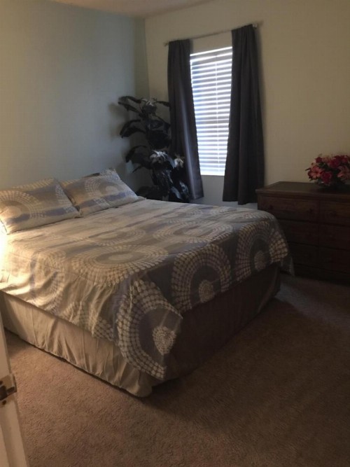 2 BEDROOM OASIS TOWN house - image 9