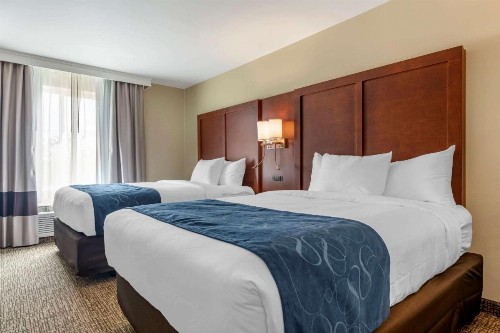 Comfort Suites Daytona Beach - Speedway - image 13