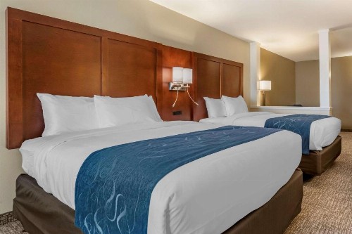 Comfort Suites Daytona Beach - Speedway - image 14