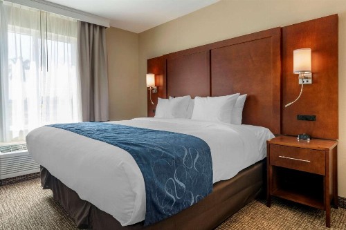 Comfort Suites Daytona Beach - Speedway - image 17