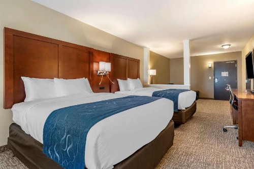 Comfort Suites Daytona Beach - Speedway - image 6