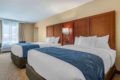 Comfort Suites Daytona Beach - Speedway - image 7