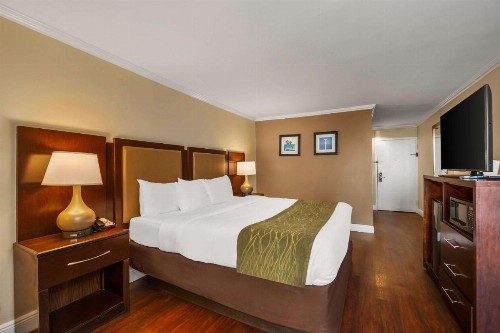 Comfort Inn Oceanside Deerfield Beach - image 13